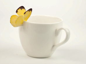 包裝即行銷 20款創意日用品包裝設計如何讓商品自己“開口說話”